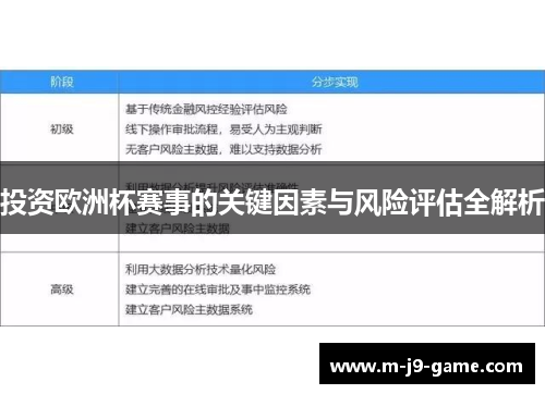 投资欧洲杯赛事的关键因素与风险评估全解析 投资欧洲杯赛事的关键因素与风险评估全解析