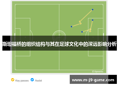 斯坦福桥的组织结构与其在足球文化中的深远影响分析 斯坦福桥的组织结构与其在足球文化中的深远影响分析