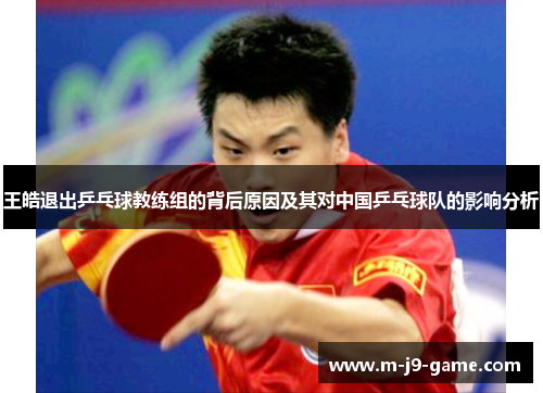 王皓退出乒乓球教练组的背后原因及其对中国乒乓球队的影响分析 王皓退出乒乓球教练组的背后原因及其对中国乒乓球队的影响分析