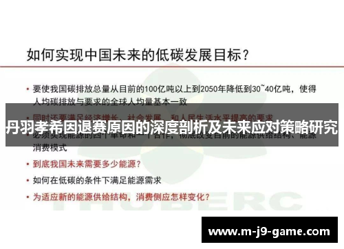 丹羽孝希因退赛原因的深度剖析及未来应对策略研究 丹羽孝希因退赛原因的深度剖析及未来应对策略研究