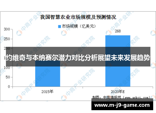 约维奇与本纳赛尔潜力对比分析展望未来发展趋势 约维奇与本纳赛尔潜力对比分析展望未来发展趋势