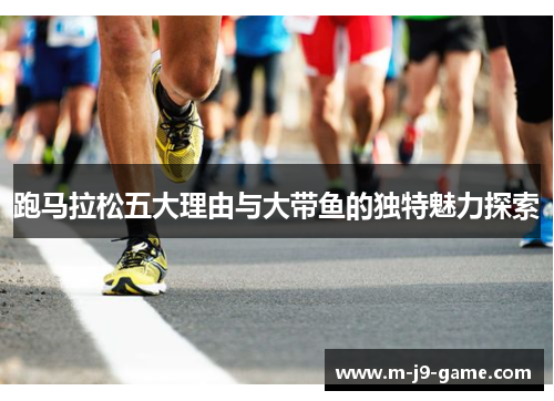 跑马拉松五大理由与大带鱼的独特魅力探索 跑马拉松五大理由与大带鱼的独特魅力探索
